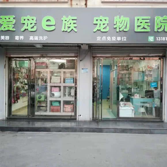 爱宠e族·宠物:滨州市滨城区黄河四路附近