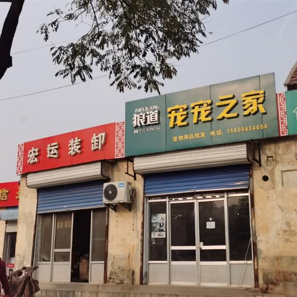 狼道宠宠之家:滨州市邹平市邹平市附近