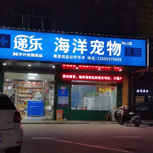 递乐海洋宠物(no.1店):滨州市邹平市邹平市附近