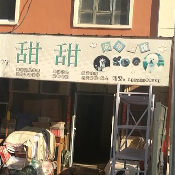 甜甜宠物会馆:天津城区南开区南开公园/中学附近