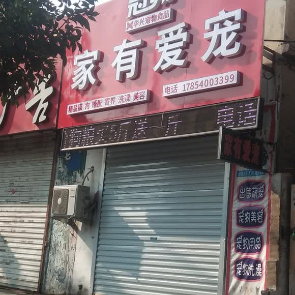 家有爱宠:菏泽市牡丹区香格里拉附近