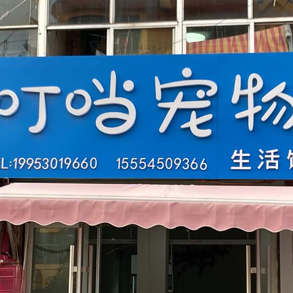 叮当宠物:菏泽市牡丹区三角花园附近