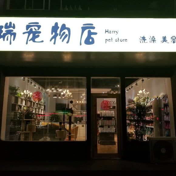 佐维犬业:菏泽市牡丹区大剧院附近