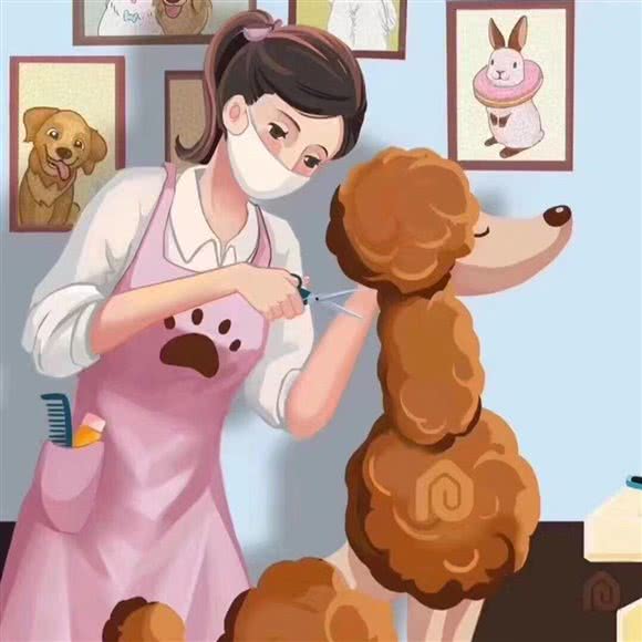 宠物乐园:菏泽市牡丹区中央公馆附近