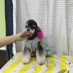 亿宠宠物店:菏泽市牡丹区中和路附近