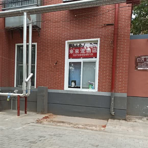 来来宠物会所:郑州市中原区中原万达附近