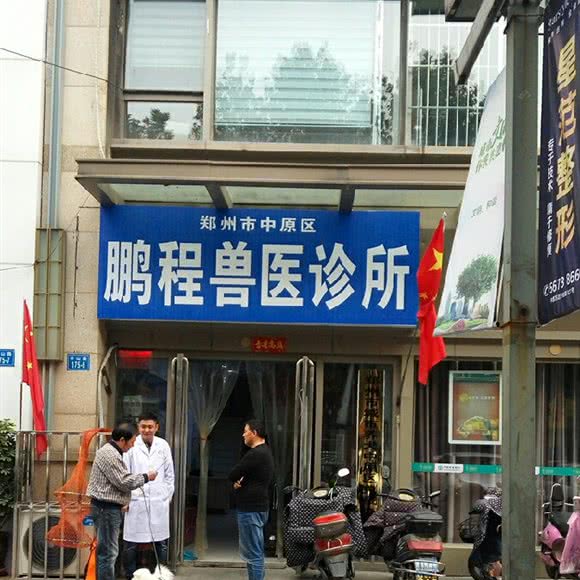 鹏程动物医院:郑州市中原区中原万达附近