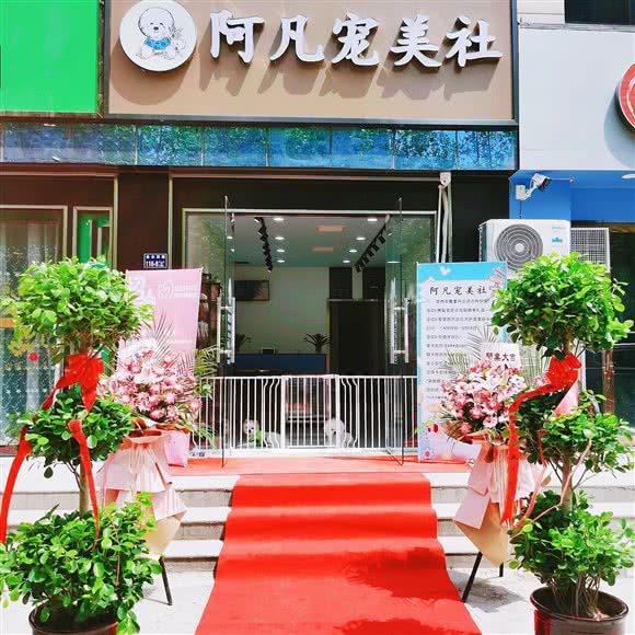 阿凡宠美社:郑州市中原区锦艺城/王府井附近