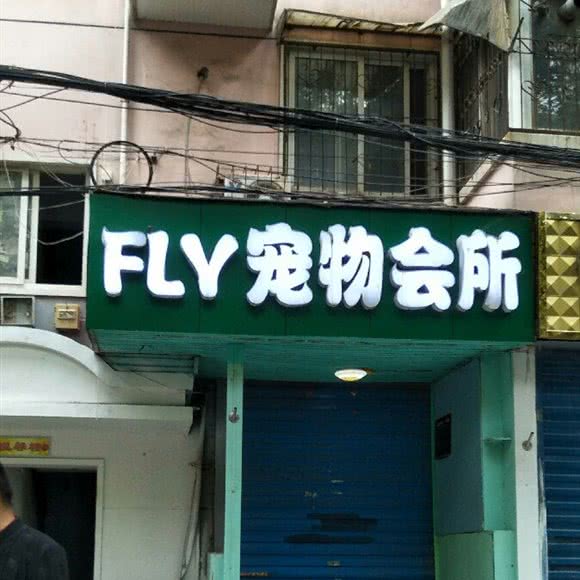 fly宠物会所:郑州市中原区锦艺城/王府井附近