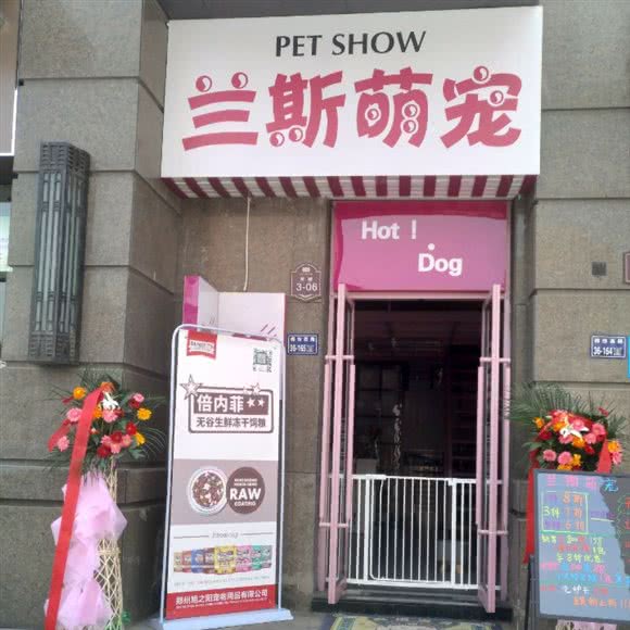 兰斯萌宠:郑州市中原区锦艺城/王府井附近