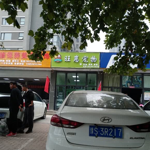 旺崽宠物:郑州市中原区冉屯路/五龙口附近