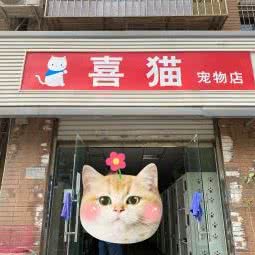 喜猫宠物店:天津城区南开区长虹公园附近