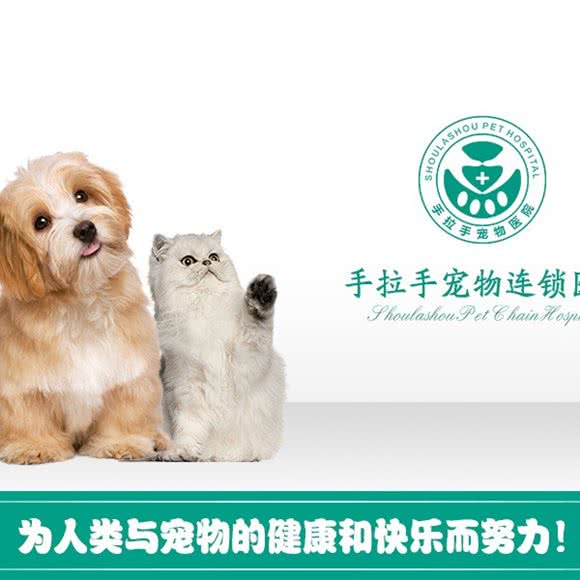 信元动物医院:郑州市中原区西元国际广场附近