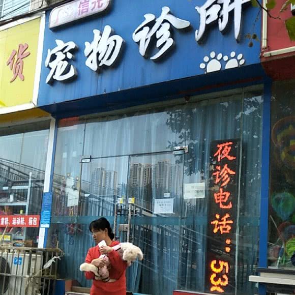 信元宠物诊所:郑州市中原区西元国际广场附近