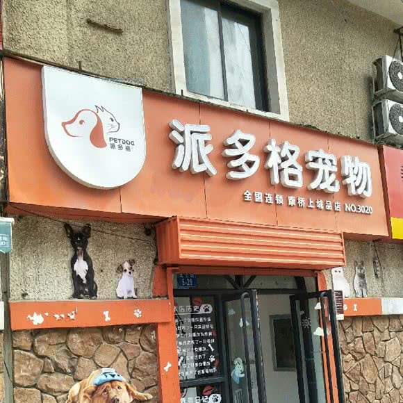 派多格宠物:郑州市中原区儿童公园/凯旋门附近