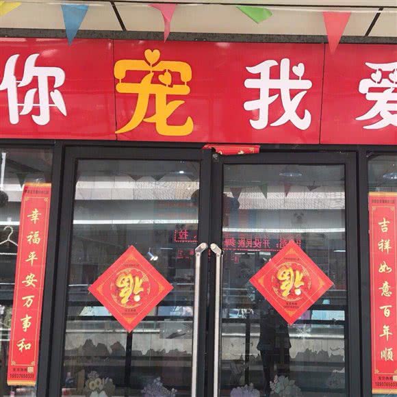 你宠我爱宠物生活馆:郑州市中原区儿童公园/凯旋门附近