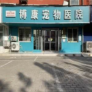 博康宠物医院连锁(汝河路店):郑州市中原区儿童公园/凯旋门附近