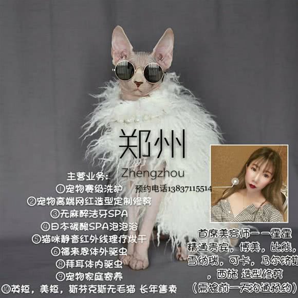 咪咪吠宠物spa会所:郑州市中原区郑州大学新校区附近