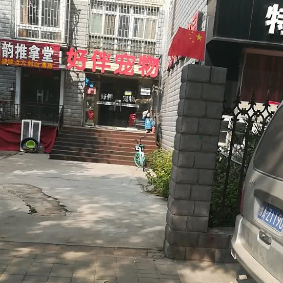 好伴宠物:郑州市中原区帝湖附近