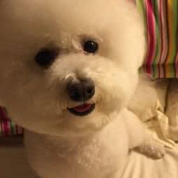 ok宠物店:郑州市中原区帝湖附近