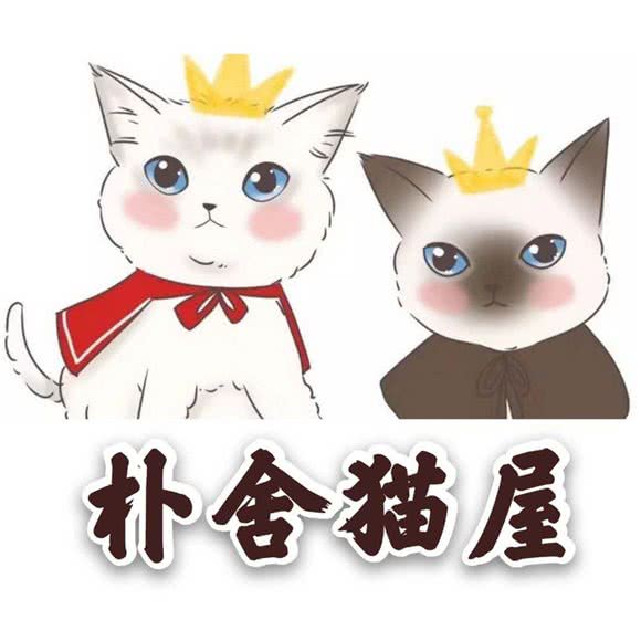 朴舍猫屋:郑州市中原区帝湖附近