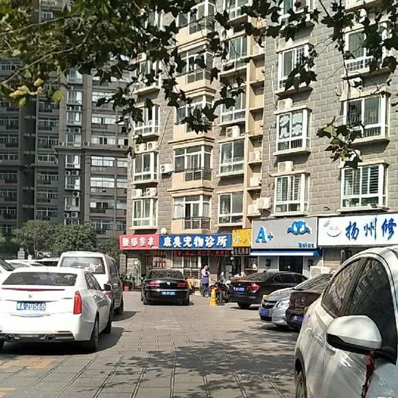 康美狗狗诊所:郑州市中原区帝湖附近