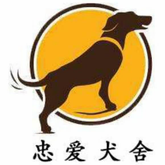 忠爱犬猫舍:郑州市中原区马寨镇附近