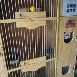 招财猫:郑州市中原区月季公园附近