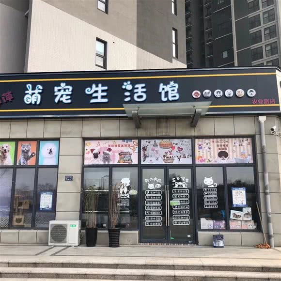 萍萍萌宠生活馆:郑州市中原区华强城市广场附近