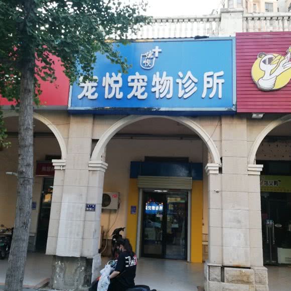 宠悦宠物狗诊所:郑州市中原区华强城市广场附近