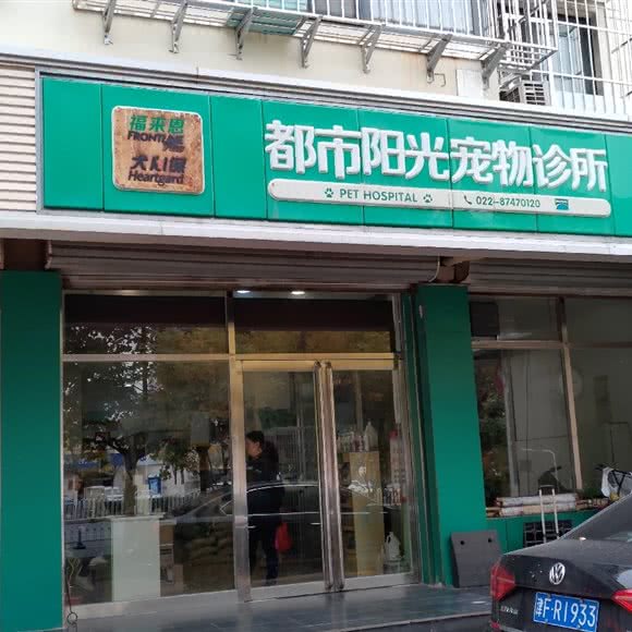 都市阳光狗狗诊所:天津城区南开区长虹公园附近