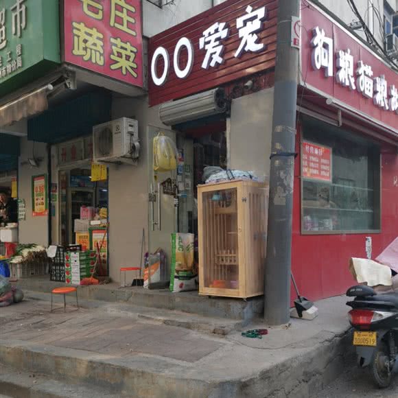 OO爱宠:郑州市二七区升龙广场附近