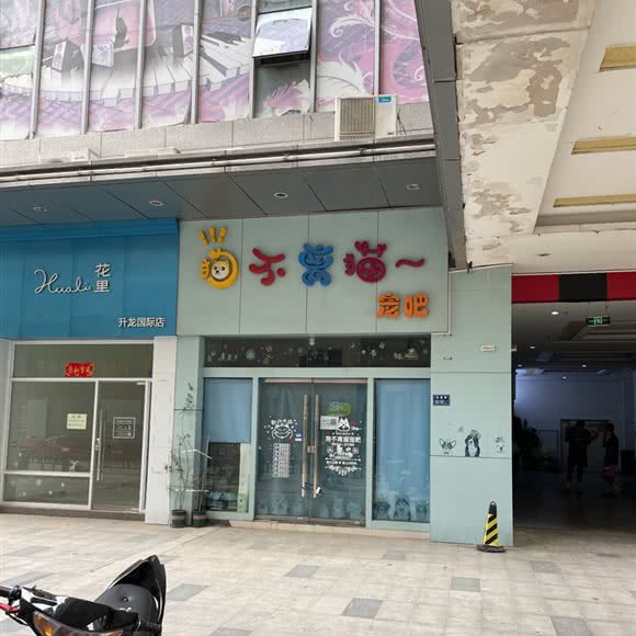 宠物店:郑州市二七区升龙广场附近