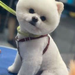 雲宠紀:郑州市二七区升龙广场附近