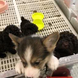 比乐生活馆:郑州市二七区升龙广场附近