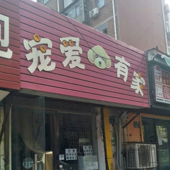 宠爱有家(铁英街店):郑州市二七区郑铁体育中心附近