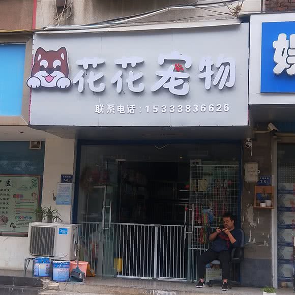 花花宠物:郑州市二七区长城康桥华城附近