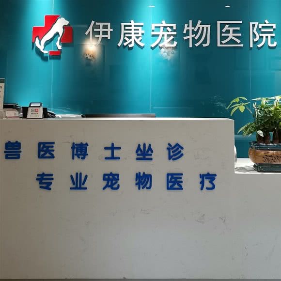 伊康宠物医院(24小时诊疗中心):郑州市二七区长城康桥华城附近