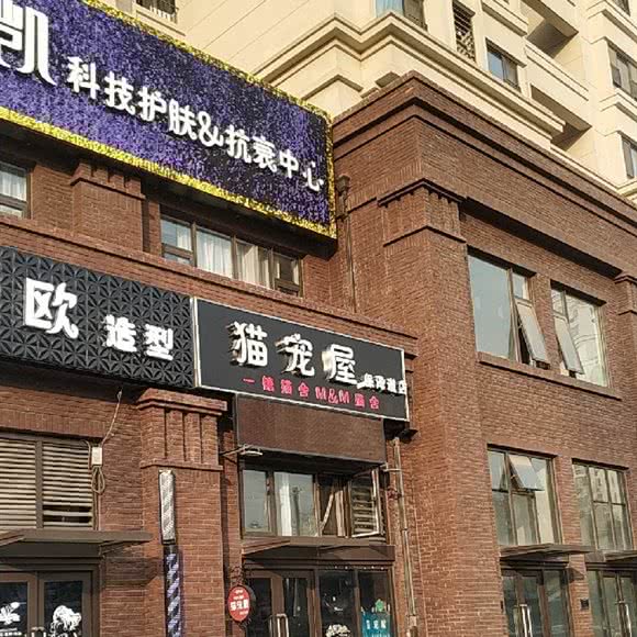 猫宠屋:天津城区南开区天拖地区附近