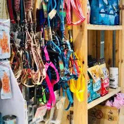 公尺团の宠物店:郑州市二七区长江中路沿线附近