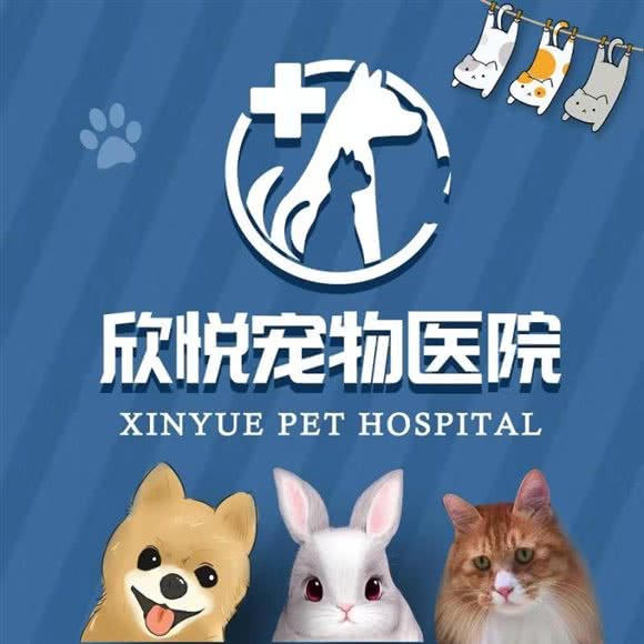 欣悦宠物医院:郑州市二七区长江中路沿线附近