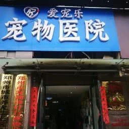 爱宠乐宠物狗诊所:郑州市二七区大商/升龙城附近
