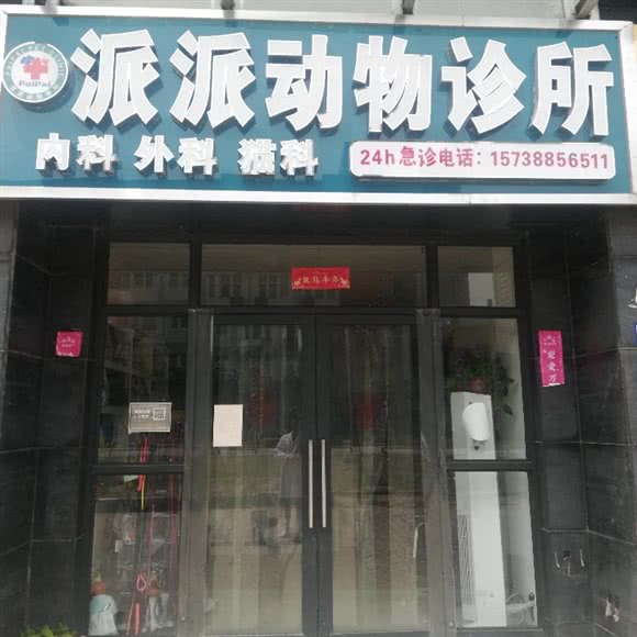 派派动物诊所:郑州市二七区亚星锦和广场附近