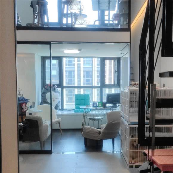 四季狗狗美容工作室:天津城区南开区天拖地区附近