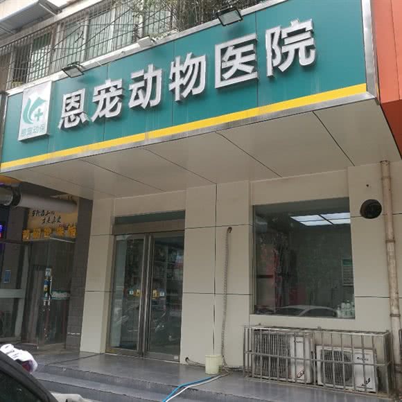 恩宠动物医院(航海路店):郑州市二七区长途客运总站附近