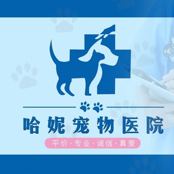 哈妮宠物医院(未来路店):郑州市管城回族区富田太阳城附近