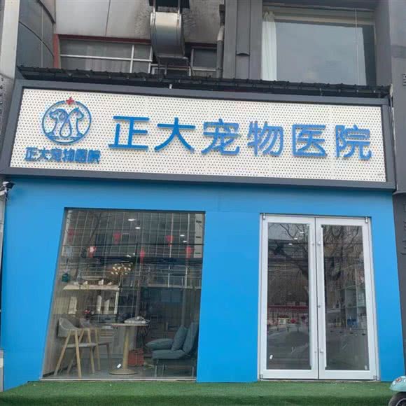 正大宠物医院:郑州市管城回族区新世界百货附近
