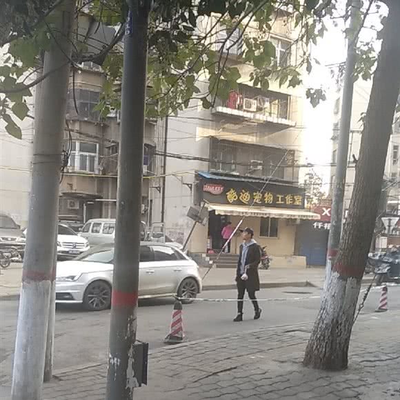 酷迪宠物工作室:郑州市管城回族区火车站/二七广场附近