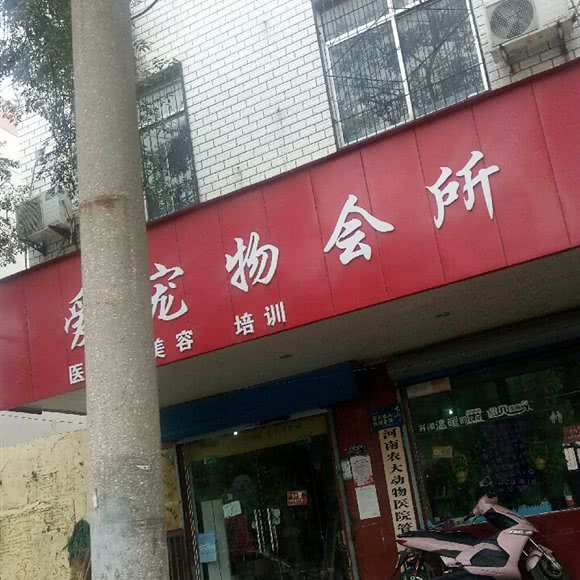 爱宠物会所:郑州市管城回族区火车站/二七广场附近