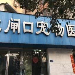 北闸口宠物医院:郑州市管城回族区火车站/二七广场附近